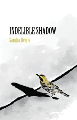 Sandra Berris - Indelible Shadow, Häftad