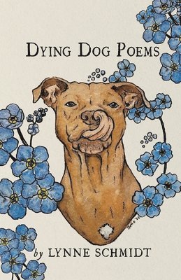 Lynne Schmidt - Dying Dog Poems, Häftad