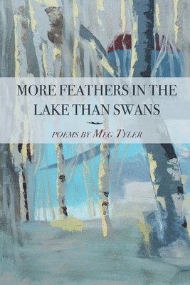 Meg Tyler - More Feathers in the Lake Than Swans, Häftad. Tillgänglighet: Lägg i varukorg