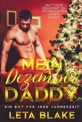 Leta Blake - Mein Dezember Daddy, Häftad