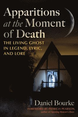 Daniel Bourke - Apparitions at the Moment of Death, Häftad
