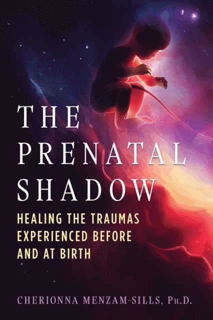 Cherionna Menzam-Sills - Prenatal Shadow, E-bok