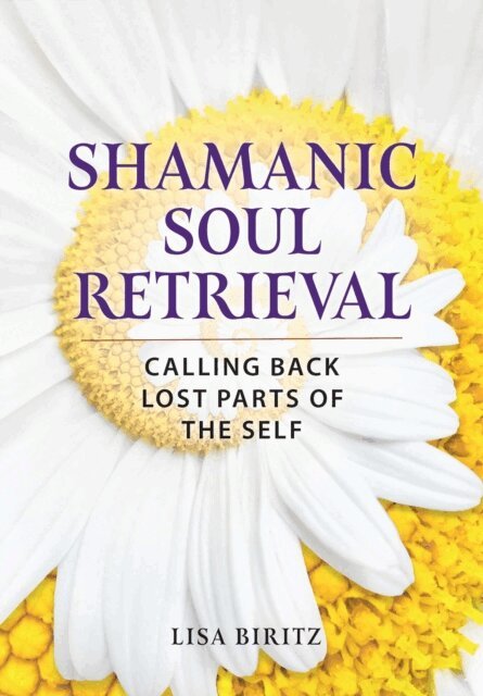 Lisa Biritz - Shamanic Soul Retrieval, E-bok