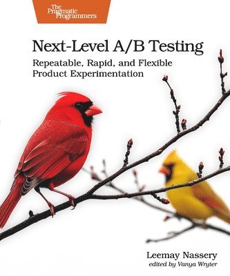 Leemay Nassery - Next-Level A/B Testing, Häftad