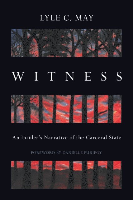 Lyle C. May - Witness, E-bok