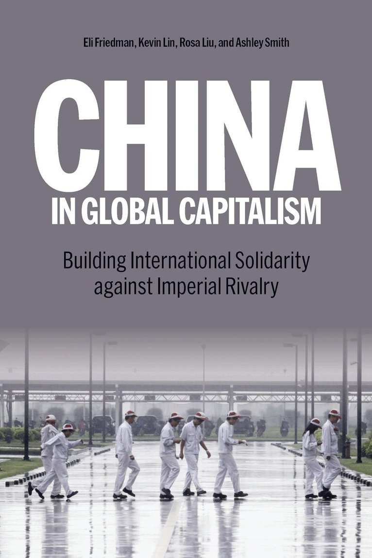 Kevin Lin, Rosa Liu, Eli Friedman, Ashley Smith - China in Global Capitalism, Häftad