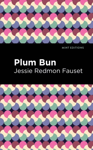 Jessie Redmon Fauset - Plum Bun, E-bok