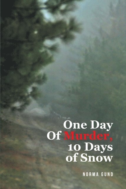 Norma Gund - One Day Of Murder, 10 Days of Snow, E-bok