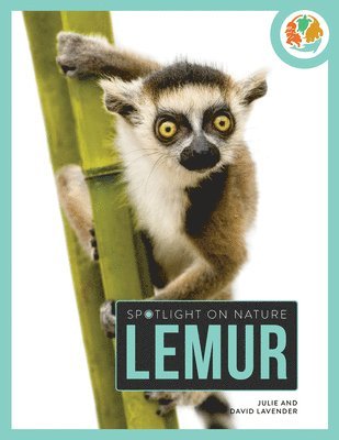 Lemur