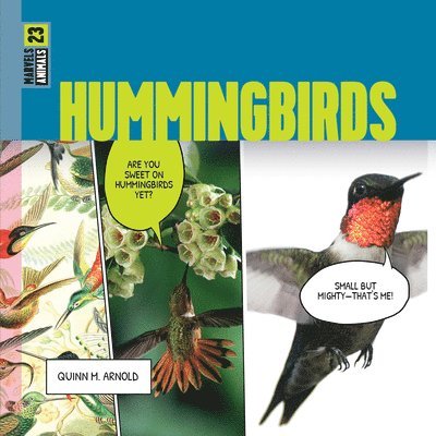 Quinn M. Arnold - Hummingbirds, Inbunden. Tillgänglighet: Lägg i varukorg