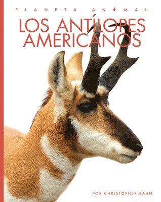 Christopher Bahn - Los Antílopes Americanos, Inbunden