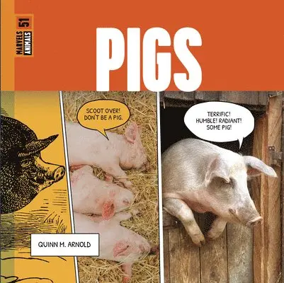 Quinn M. Arnold - Pigs, Inbunden. Tillgänglighet: Lägg i varukorg