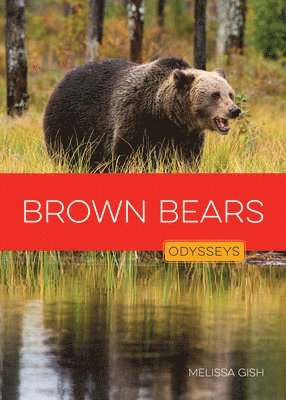 Melissa Gish - Brown Bears, Inbunden. Tillgänglighet: Lägg i varukorg