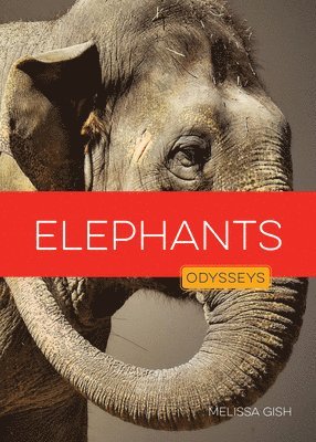 Melissa Gish - Elephants, Inbunden