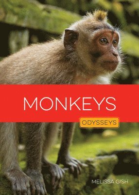 Melissa Gish - Monkeys, Inbunden