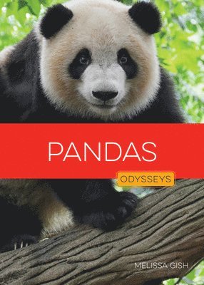 Melissa Gish - Pandas, Inbunden