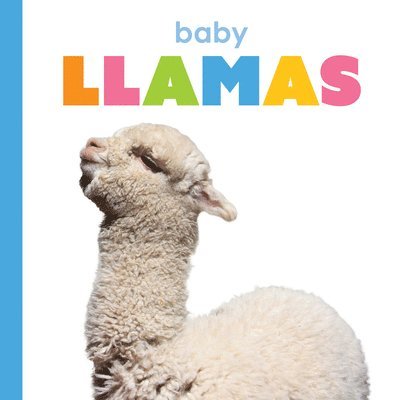 Baby Llamas