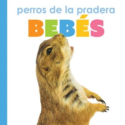 Perros de la Pradera Bebés: Spanish Edition
