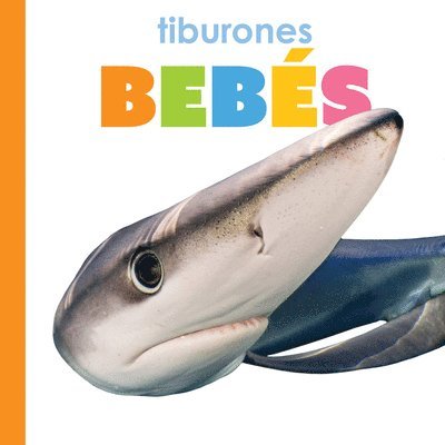 Tiburones Bebés: Spanish Edition