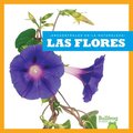 Las Flores (Flowers)