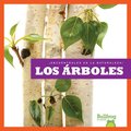 Los Árboles (Trees)