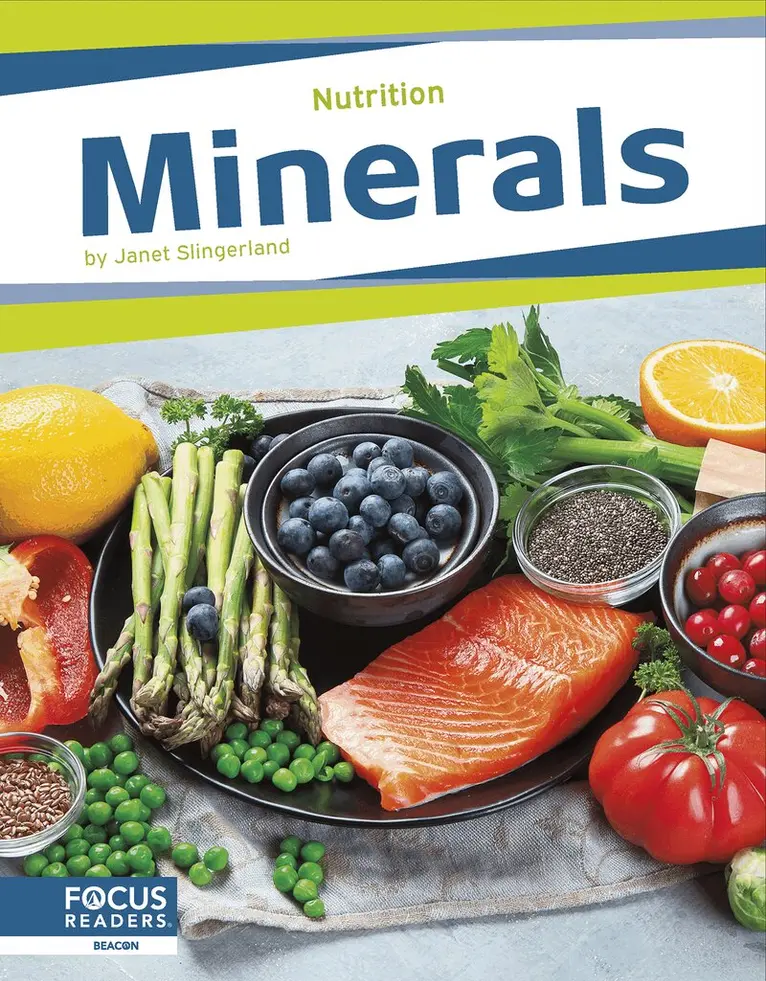 Janet Slingerland - Minerals, Häftad. Tillgänglighet: Lägg i varukorg