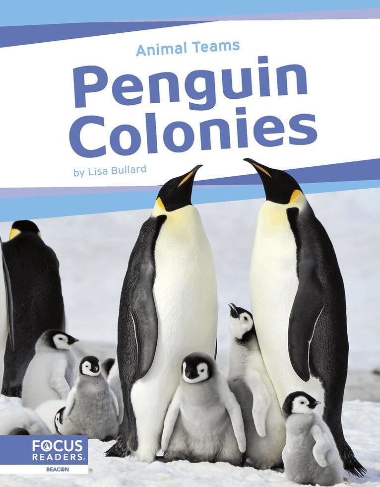 Lisa Bullard - Penguin Colonies, Häftad. Tillgänglighet: Lägg i varukorg