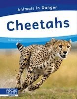 Ruth Aaron - Cheetahs, Inbunden