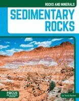 Trudy Becker - Sedimentary Rocks, Inbunden. Tillgänglighet: Kommande