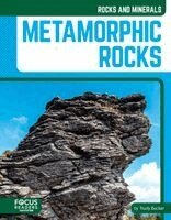 Trudy Becker - Metamorphic Rocks, Häftad