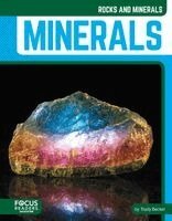 Trudy Becker - Minerals, Häftad. Tillgänglighet: Kommande