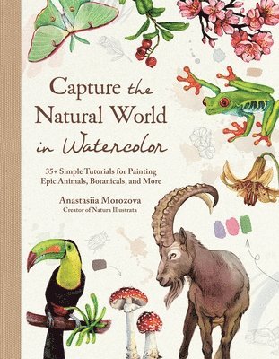 Anastasiia Morozova - Capture the Natural World in Watercolor, Inbunden. Tillgänglighet: Lägg i varukorg
