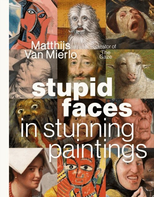 Matthijs Van Mierlo - Stupid Faces in Stunning Paintings, E-bok
