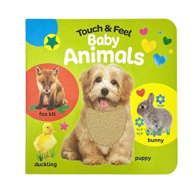 Rose Nestling, Cottage Door Press - Touch & Feel Baby Animals, Kartonnage