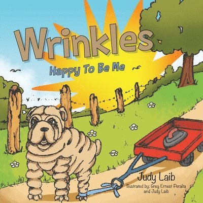 Judy Laib - Wrinkles, Häftad. Tillgänglighet: Lägg i varukorg