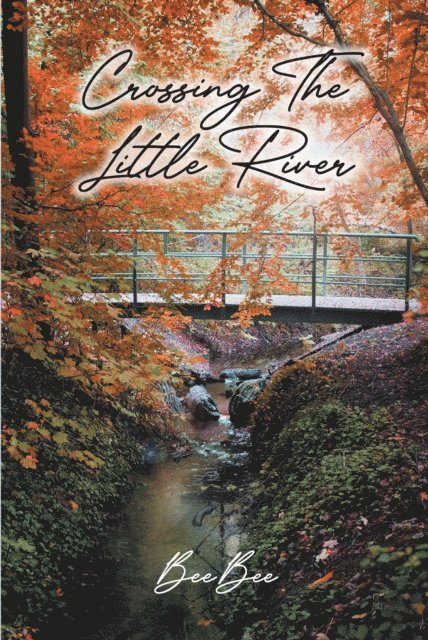 BeeBee - Crossing The Little River, E-bok