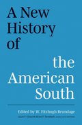 New History of the American South