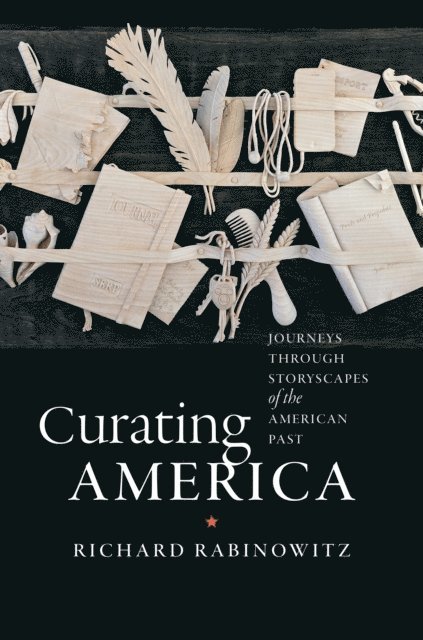 Richard Rabinowitz - Curating America, E-bok