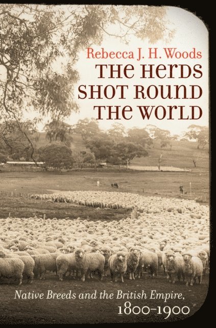 Rebecca J. H. Woods - Herds Shot Round the World, E-bok