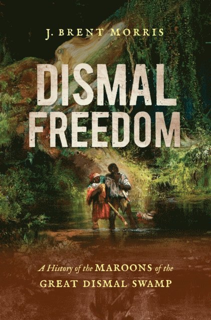 J. Brent Morris - Dismal Freedom, E-bok