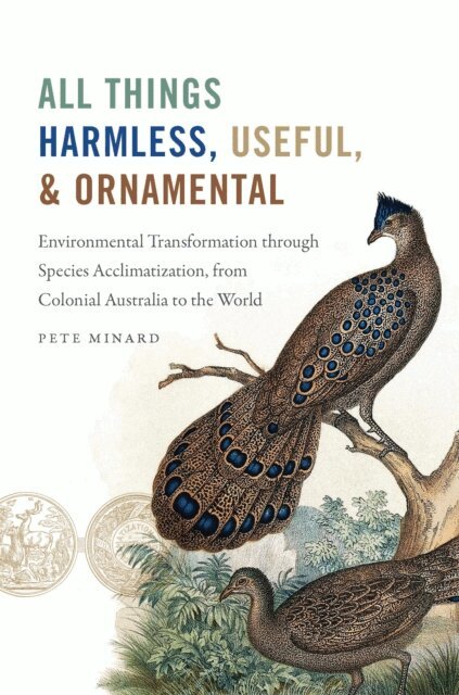 Pete Minard - All Things Harmless, Useful, and Ornamental, E-bok
