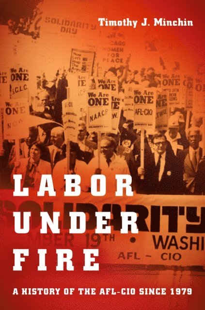 Timothy J. Minchin - Labor Under Fire, E-bok