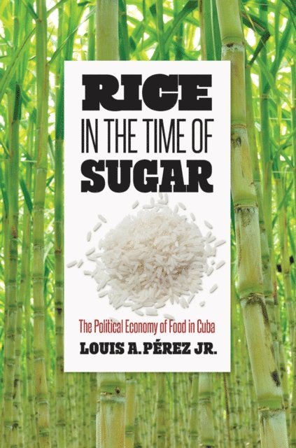 Louis A. Perez Jr. - Rice in the Time of Sugar, E-bok