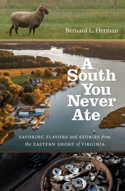 Bernard L. Herman - South You Never Ate, E-bok