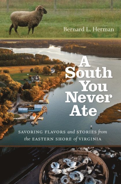 Bernard L. Herman - South You Never Ate, E-bok