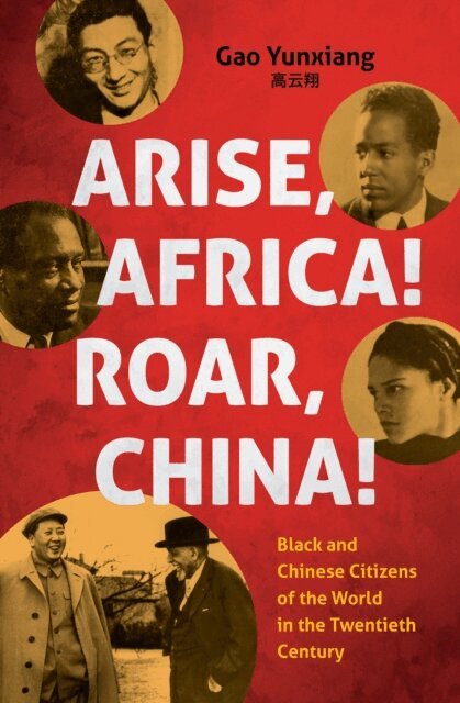 Yunxiang Gao - Arise Africa, Roar China, E-bok