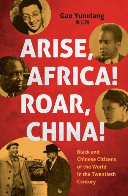 Yunxiang Gao - Arise Africa, Roar China, E-bok