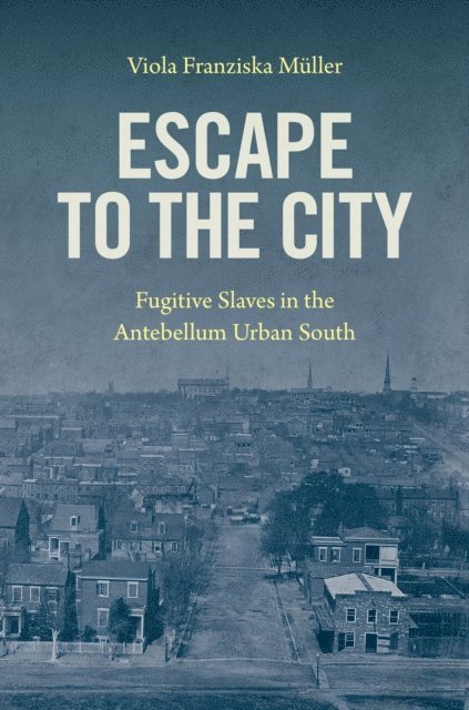 Viola Franziska Muller - Escape to the City, E-bok