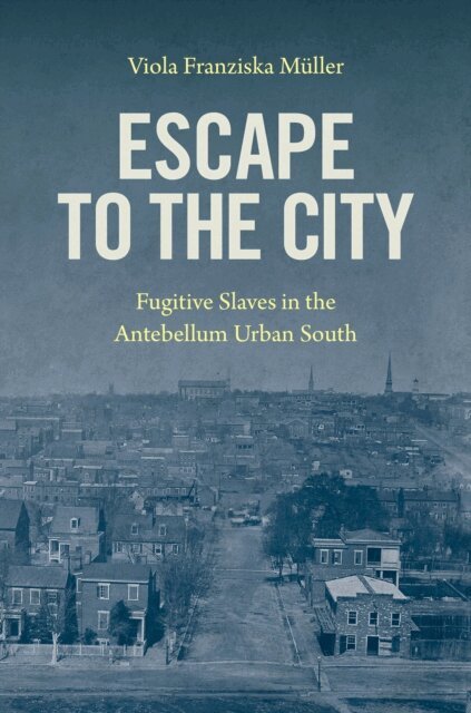 Viola Franziska Muller - Escape to the City, E-bok