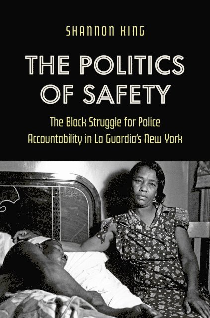 Shannon King - Politics of Safety, E-bok